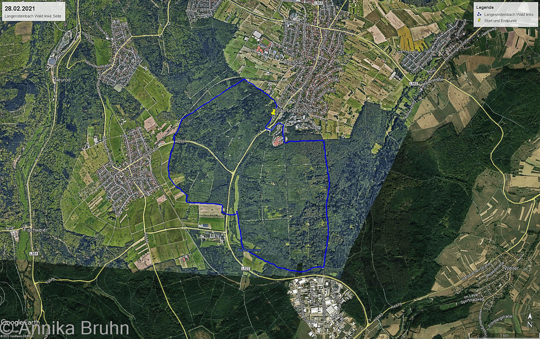 Langensteinbach linke Waldseite